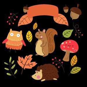 Meet your Posher, Anneka